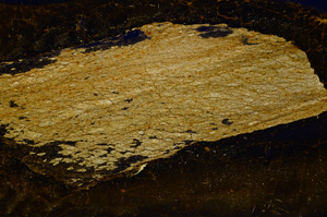 Cross Polarized, E378