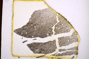 Plane Polarized, E380