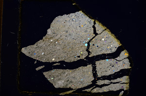 Cross Polarized, E380