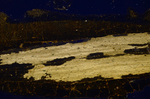 Cross Polarized, E382