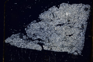 Cross Polarized, E383