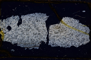 Cross Polarized, E384
