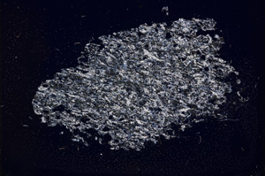 Cross Polarized, E385