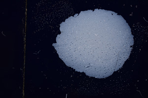 Cross Polarized, E388