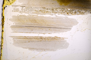 Plane Polarized, E390