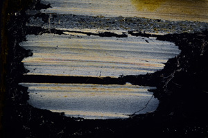 Cross Polarized, E390