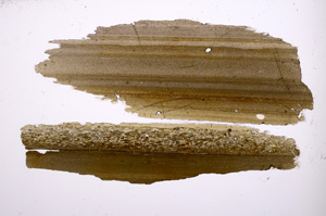 Plane Polarized, E391