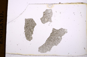 Plane Polarized, E394