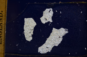 Cross Polarized, E394