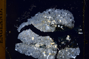Cross Polarized, E397