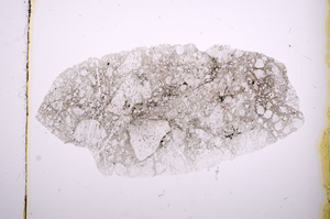 Plane Polarized, E401