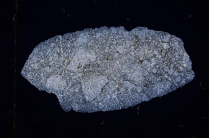 Cross Polarized, E401