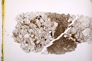 Plane Polarized, E402