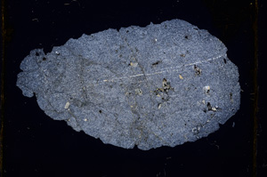 Cross Polarized, E403