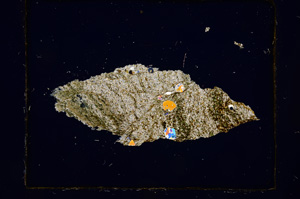 Cross Polarized, E406