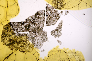 Plane Polarized, E407