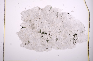 Plane Polarized, E410