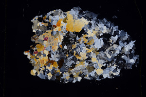 Cross Polarized, E410