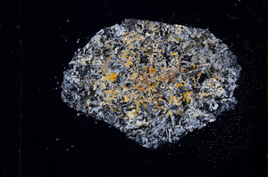 Cross Polarized, E411