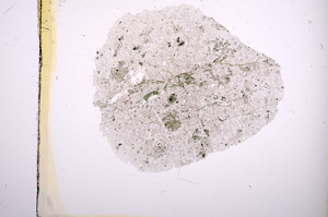 Plane Polarized, E412