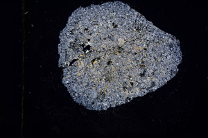 Cross Polarized, E412