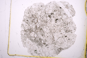 Plane Polarized, E414