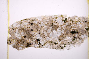 Plane Polarized, E418