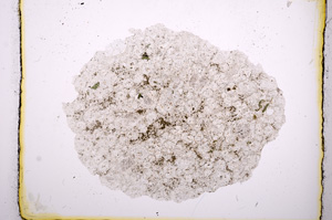 Plane Polarized, E419