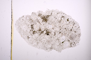 Plane Polarized, E420