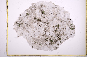 Plane Polarized, E430