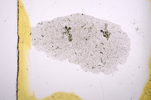 Plane Polarized, E432