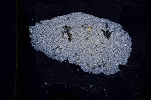 Cross Polarized, E432