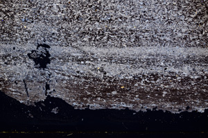 Cross Polarized, E436