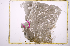 Plane Polarized, E447