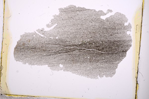 Plane Polarized, E450