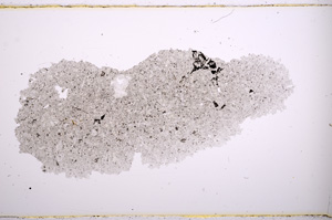 Plane Polarized, E471