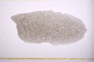 Plane Polarized, E474