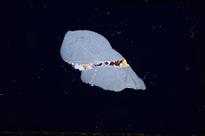 Cross Polarized, E479