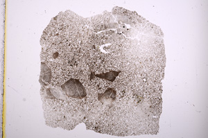 Plane Polarized, E488