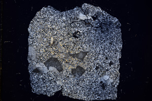 Cross Polarized, E488