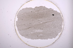 Plane Polarized, E499