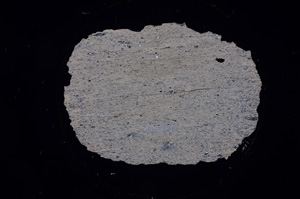 Cross Polarized, E499