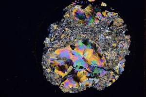 Cross Polarized, E504