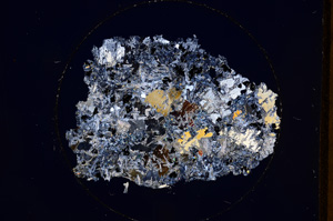 Cross Polarized, E510