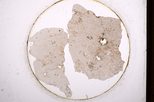 Plane Polarized, E520