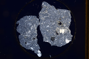 Cross Polarized, E520