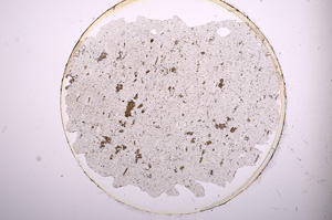 Plane Polarized, E528