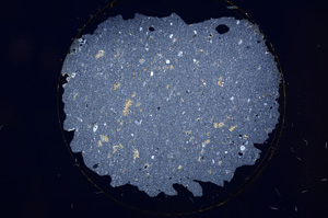 Cross Polarized, E528