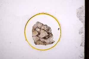 Plane Polarized, E544