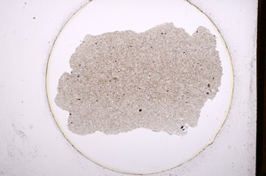 Plane Polarized, E551